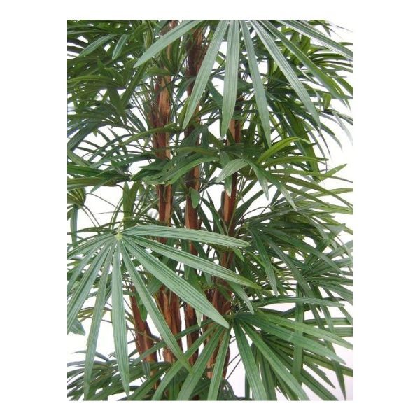 Raphis Kunstpalm 190 cm 5