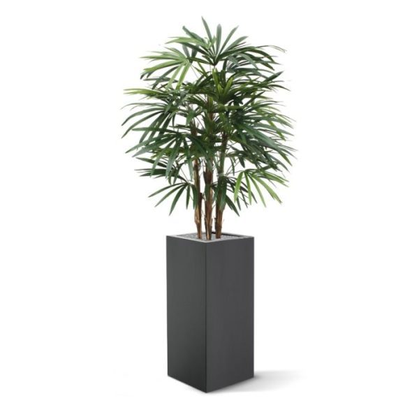 in combinatie met een groot aantal stammen ziet de kunstpalm er niet alleen zeer luxe uit