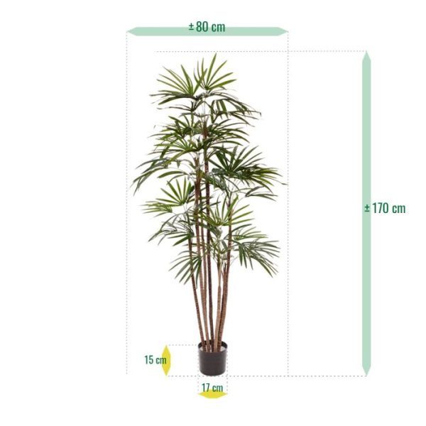 Raphis-Kunstpalm-Promo-170-cm-3 Raphis Kunstpalm Promo 170 cm 3