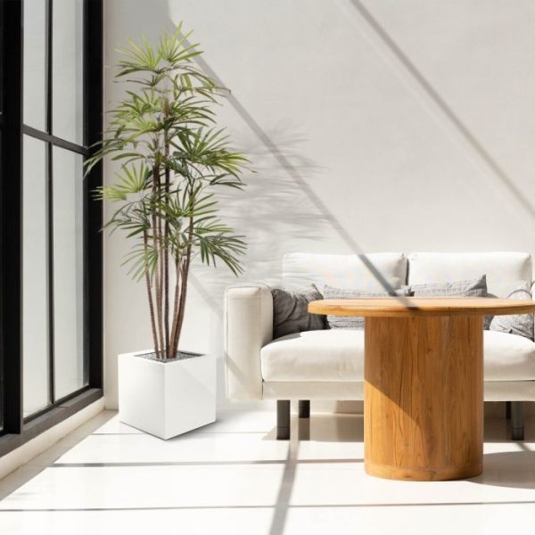 Raphis-Kunstpalm-Promo-170-cm-4 Raphis Kunstpalm Promo 170 cm 4