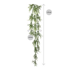 en de breedte is ongeveer 10 cm. Vanaf 6 stuks profiteert u van de kortingsprijs.