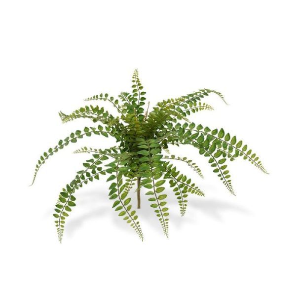 Groene kunstplanten bijna ronde blaadjes. Ideaal om solitair of met meerderen op te steken in een hogere pot of bak. Pteris-soorten komt uit Nieuw Zeeland waardoor het een boeket met een exotisch tintje heeft. Ideaal als decoratie voor op tafel