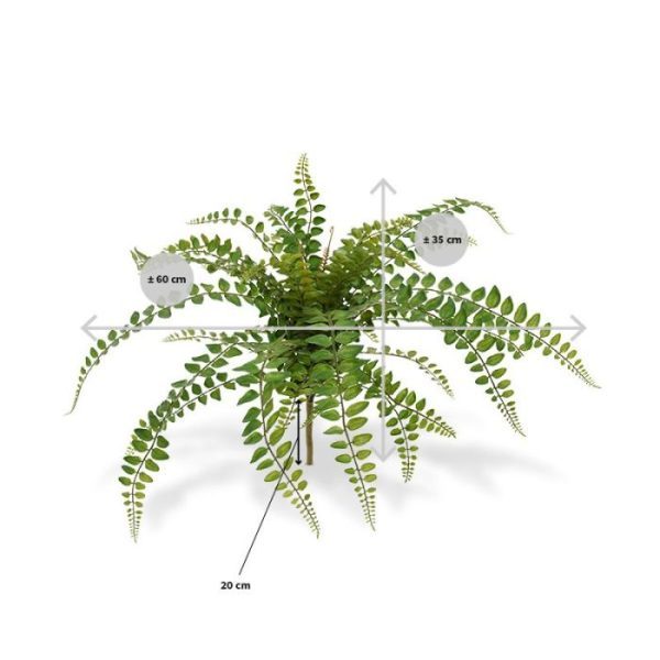Rotundifolia Varen kunstboeket 55 cm maar is ongeveer 45 cm. De varen is in meerdere soorten en afmetingen verkrijgbaar.