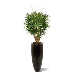 Nieuw - Royal Bamboe XL deluxe kunstboom 130 cm