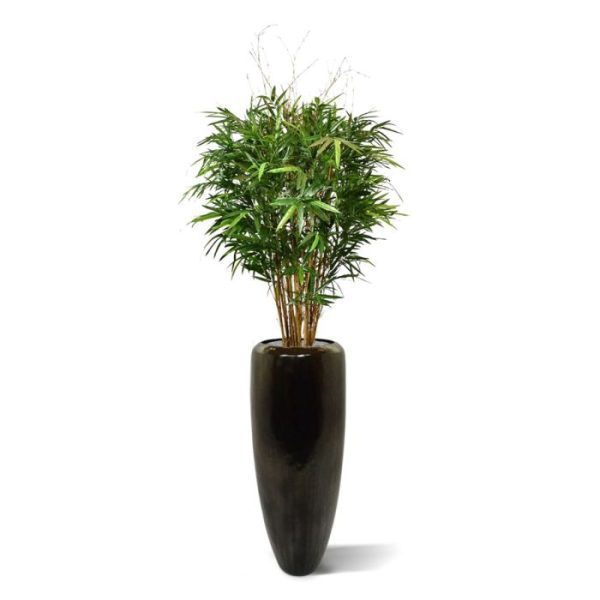 Nieuw - Royal Bamboe XL deluxe kunstboom 130 cm