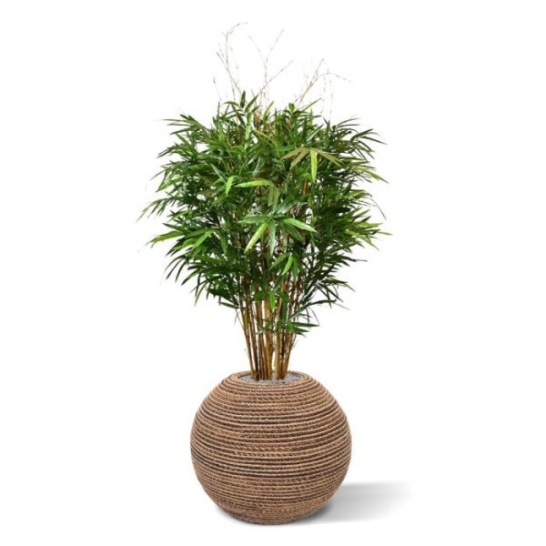 Royal Bamboe XL deluxe kunstboom 130 cm 7