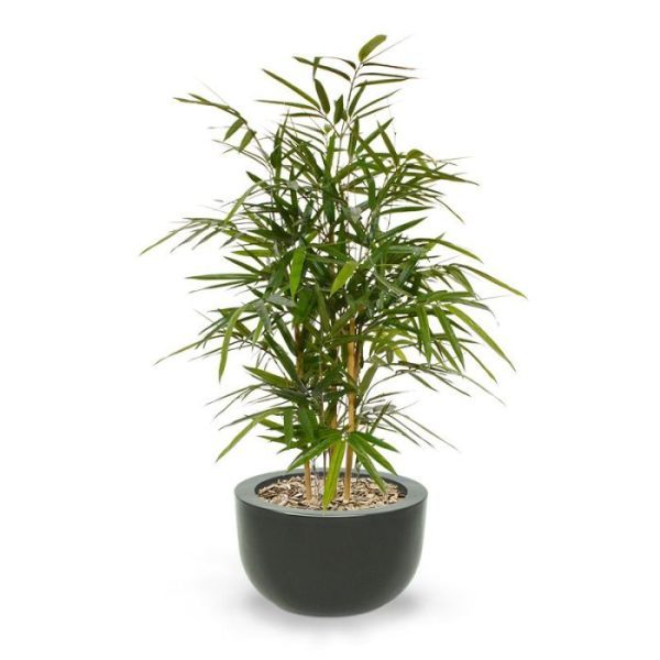 Royal Bamboe kunstplant 95 cm 1