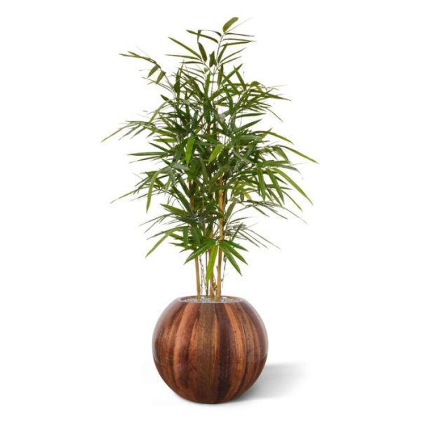 Royal Bamboe kunstplant 95 cm 2