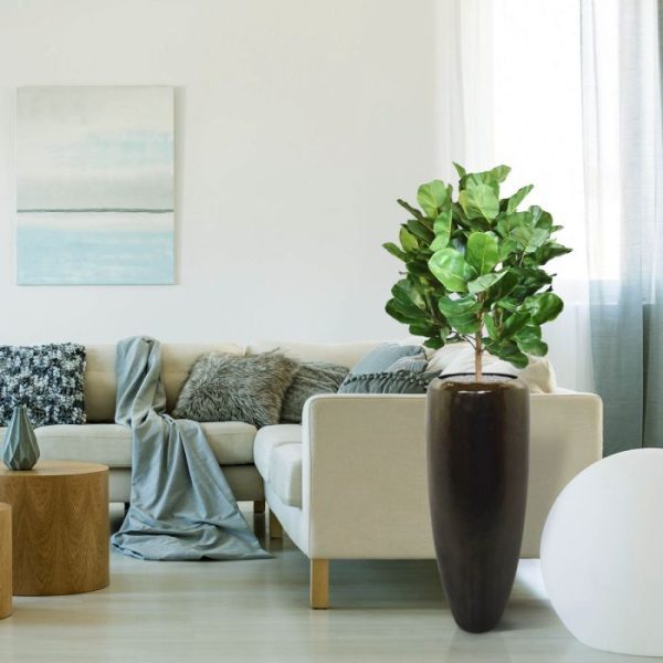 Royal Lyrata bol deluxe kunstplant 105 cm 4