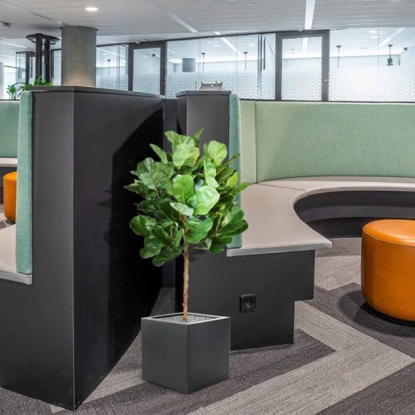 Royal Lyrata bol deluxe kunstplant 105 cm 5