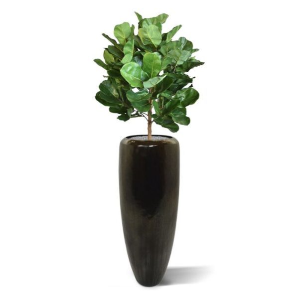 Royal Lyrata bol deluxe kunstplant 105 cm 8