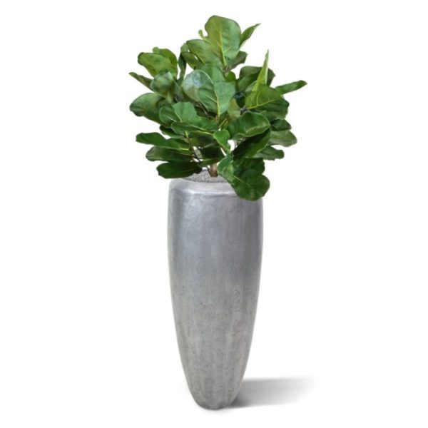 Kunstplanten Royal Lyrata bol deluxe kunstplant 75 cm 1