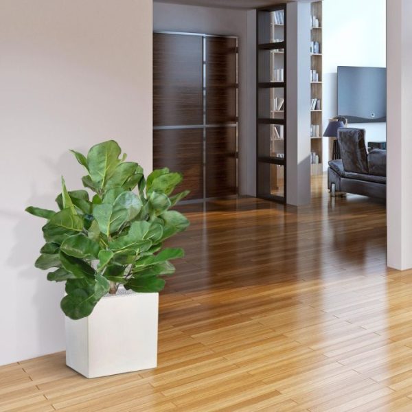 Royal-Lyrata-bol-deluxe-kunstplant-75-cm-9 Royal Lyrata bol deluxe kunstplant 75 cm 9