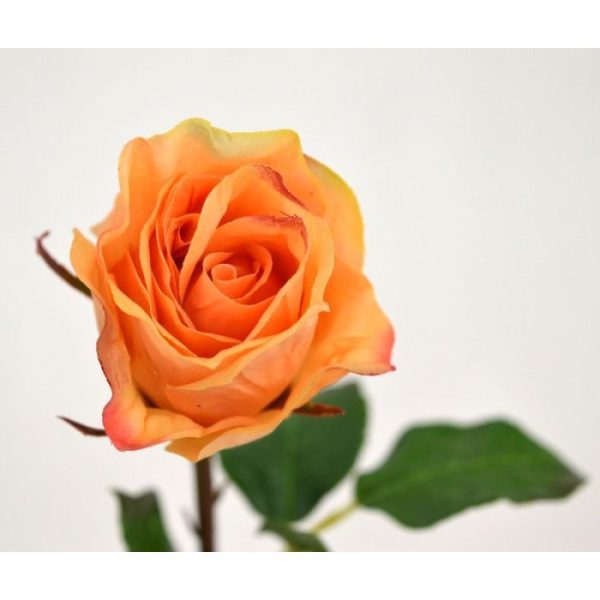 tot een kleurrijk kunstboeket worden verwerkt.   De steel heeft een lengte van ongeveer 52 cm en een breedte van ongeveer 16 cm. De bloem bestaat uit 10 verschillende lagen en heeft een diameter van 5 cm! Samen met de kunstzijden rozenbladeren in verschillende groottes