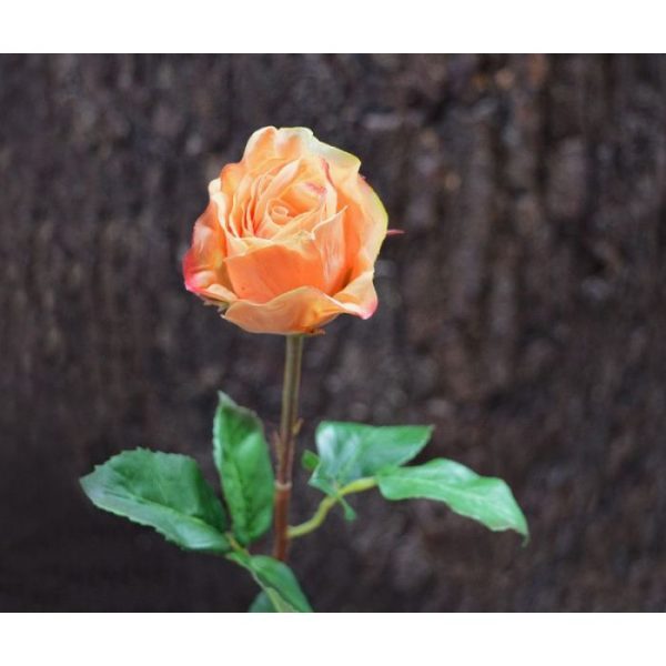 ziet deze rozentak er bijzonder echt uit. Zelfs aan de doornen is gedacht.   Deze kunstbloem is verkrijgbaar in de kleuren creme