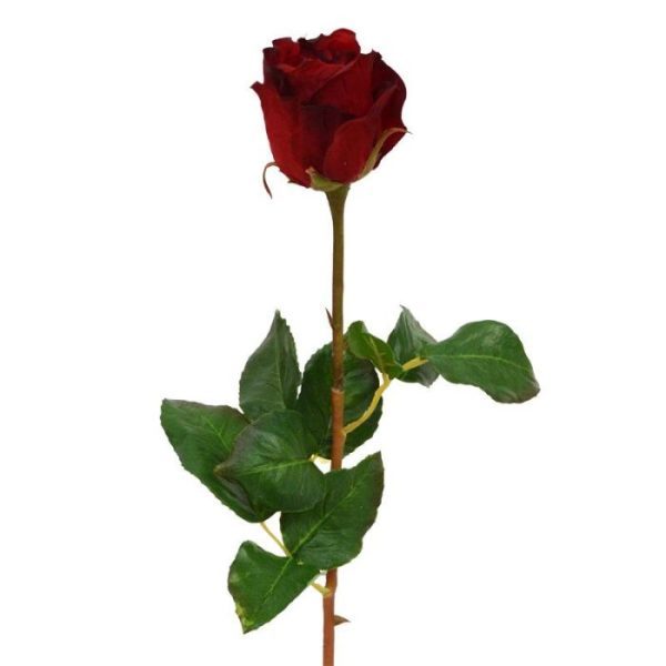 Rozentak-knop-52-cm-rood-4 rood en oranje.  Vanaf 12 stuks geldt een voordeel prijs.