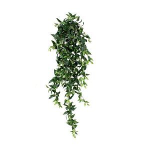 Deze schitterende Ruscus kunst hangplant ziet er bijzonder natuurgetrouw uit en behoort tot de hoogste kwaliteit kunst hangplanten. Door de tekening en diversiteit van de kunstbladeren ziet de zijden Ruscus er wel heel echt uit! Het effect wordt nog eens versterkt doordat de jonge blaadjes wat lichter van kleur zijn. Bovendien hebben de bladeren verschillende afmetingen. De lengte van de zijden Ruscus is ongeveer 125cm