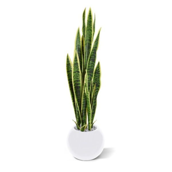 Sanseveria kunstplant Bont 110cm in pot Ja