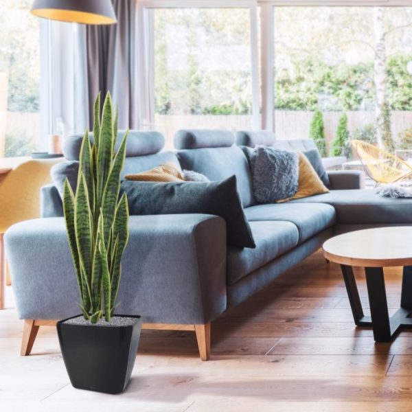 Sanseveria-kunstplant-Bont-110cm-in-pot-9 Sanseveria kunstplant Bont 110cm in pot 9