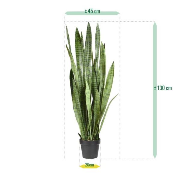 Sanseveria-kunstplant-Groen-130cm-in-pot-3 die vanwege hun uiterlijk ook wel vrouwentongen genoemd worden