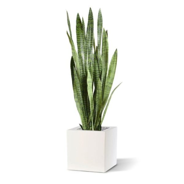 Sanseveria-kunstplant-Groen-130cm-in-pot-8 dikte