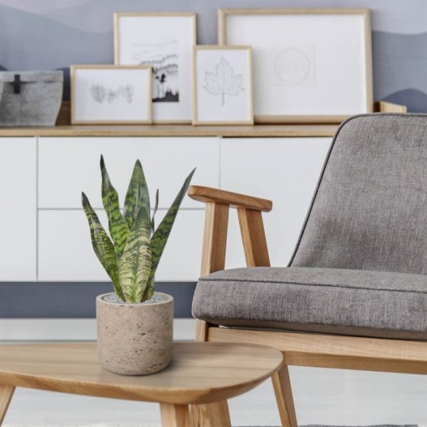Sansevieria-kunstplant-30-cm-groen-4 op het bureau op kantoor