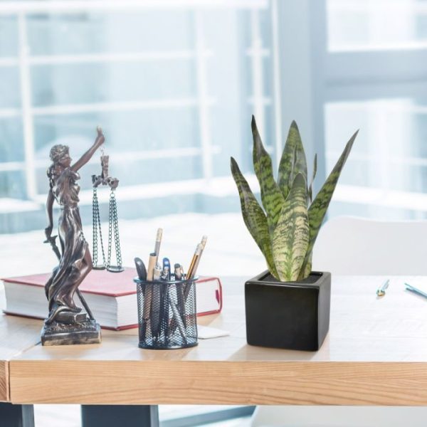 Sansevieria-kunstplant-30-cm-groen-5 in de vensterbank thuis of in een creatief arrangement te verwerken. De kunstige Sanseveria wordt geleverd in een standaard plastic binnenpot.