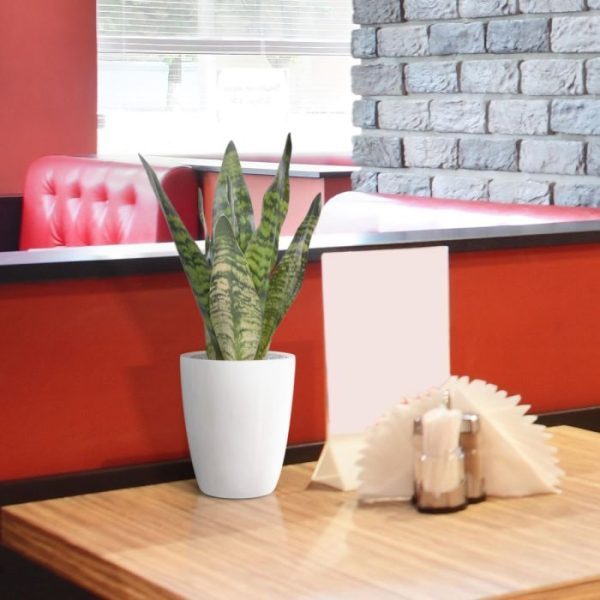 Sansevieria-kunstplant-30-cm-groen-9 Sansevieria kunstplant 30 cm groen 9