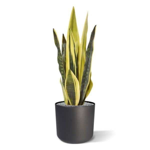 wat maakt het ook uit