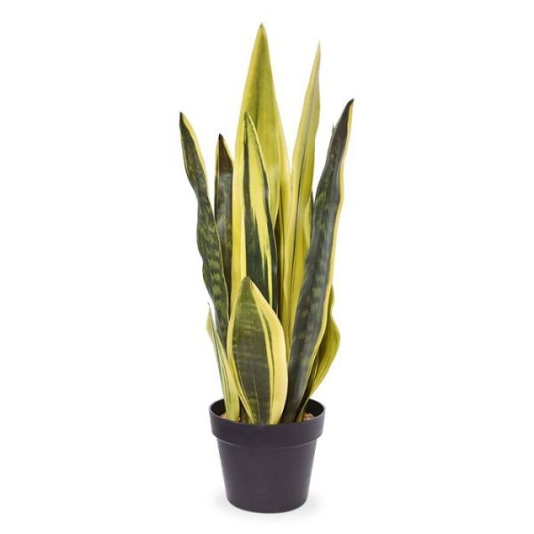 Sansevieria kunstplant 72 cm geel groen 7