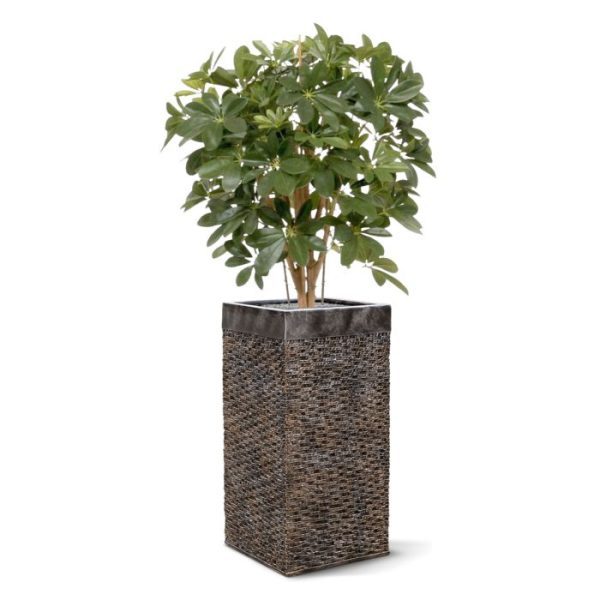 Kunstplanten met ideale afmeting voor gebruik in kantoren