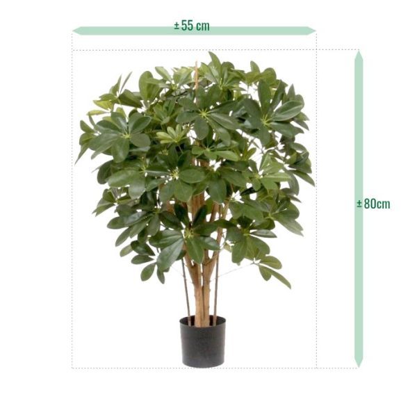 Schefflera-80-cm-kunstplant-3 Schefflera 80 cm kunstplant 3