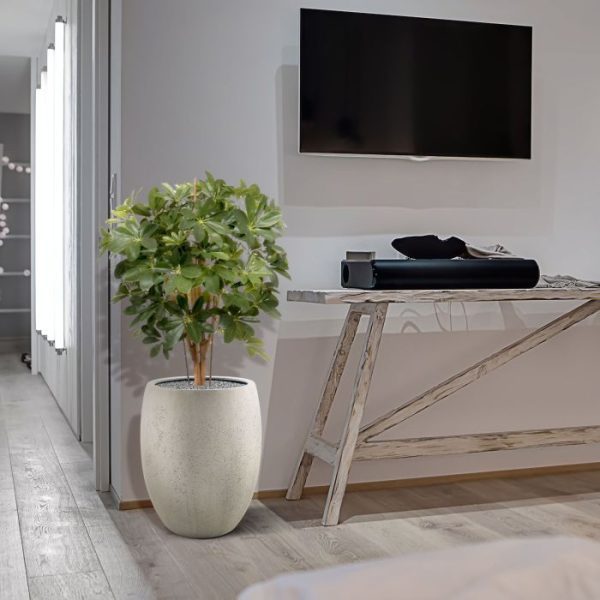 Schefflera-80-cm-kunstplant-4 Schefflera 80 cm kunstplant 4