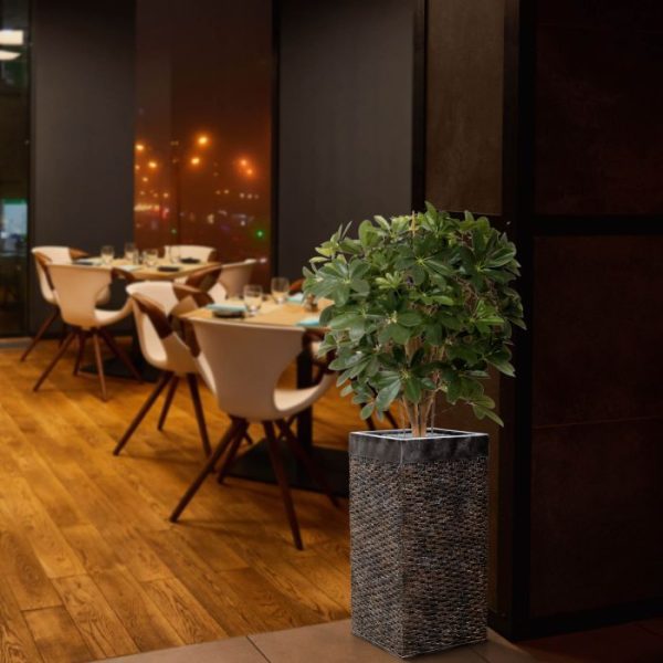 Schefflera-80-cm-kunstplant-5 Schefflera 80 cm kunstplant 5