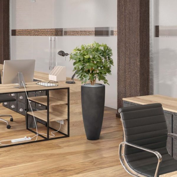 Schefflera-80-cm-kunstplant-9 Schefflera 80 cm kunstplant 9