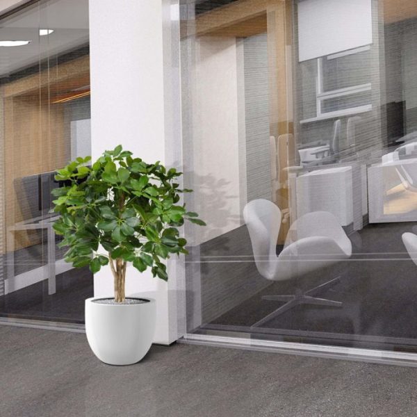 Schefflera 90 cm kunstplant op stam 4