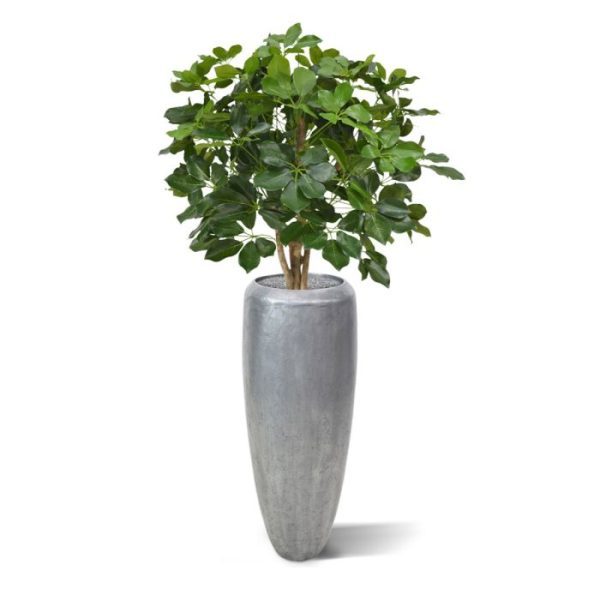 Schefflera 90 cm kunstplant op stam 8