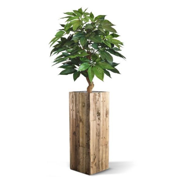 Schefflera-Amate-deluxe-kunstplant-105-cm-8 Schefflera Amate deluxe kunstplant 105 cm 8