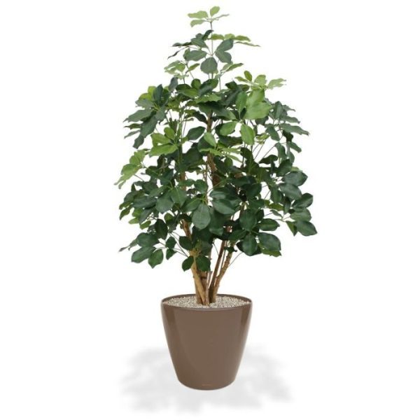 gecombineerd met de mooie opbouw van de echte houten stammen zorgen voor een fris uitziende kunstplant