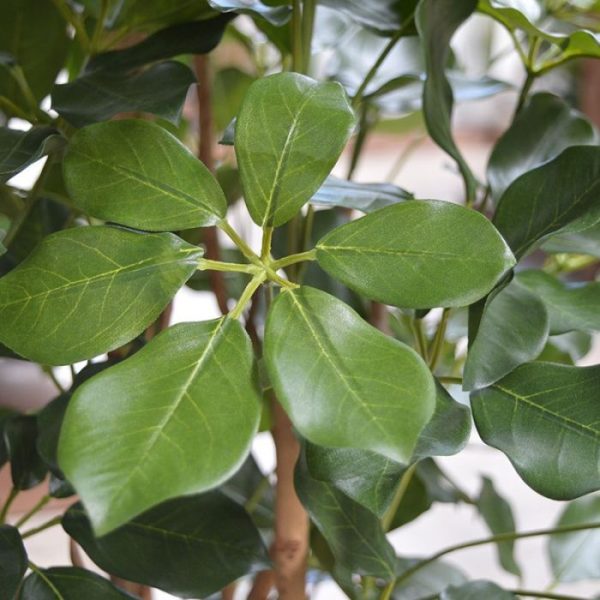 Schefflera Exotica 120 cm kunstplant 4