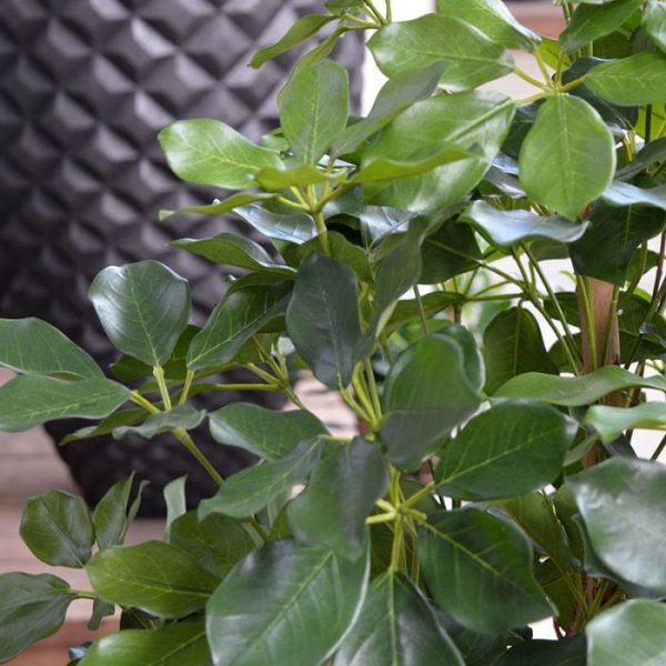 Schefflera Exotica 120 cm kunstplant 5