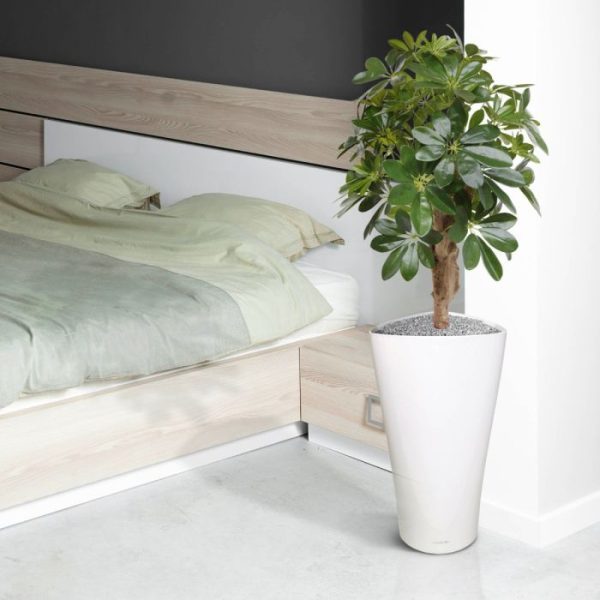 Schefflera-kunstplant-65-cm-op-voet-5 Schefflera kunstplant 65 cm op voet 5