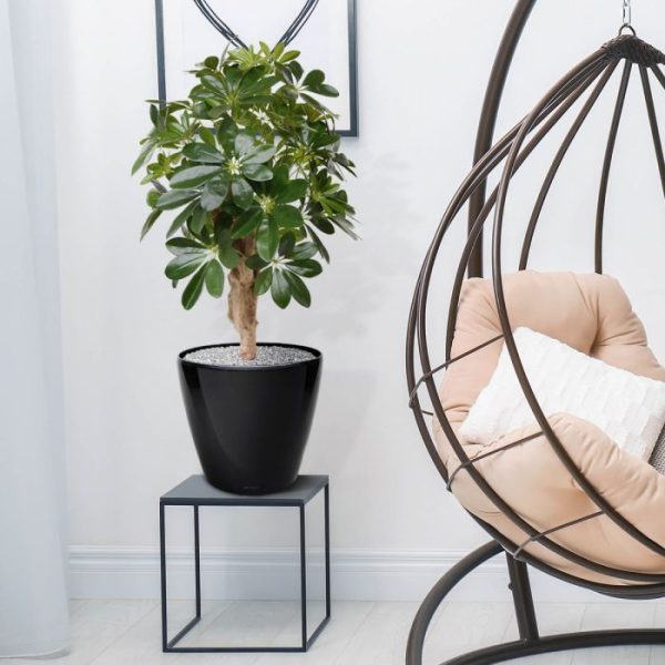 Schefflera-kunstplant-65-cm-op-voet-9 Schefflera kunstplant 65 cm op voet 9
