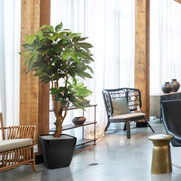 Scheflera-Amate-deluxe-kunstboom-165-cm-4 Scheflera Amate deluxe kunstboom 165 cm 4