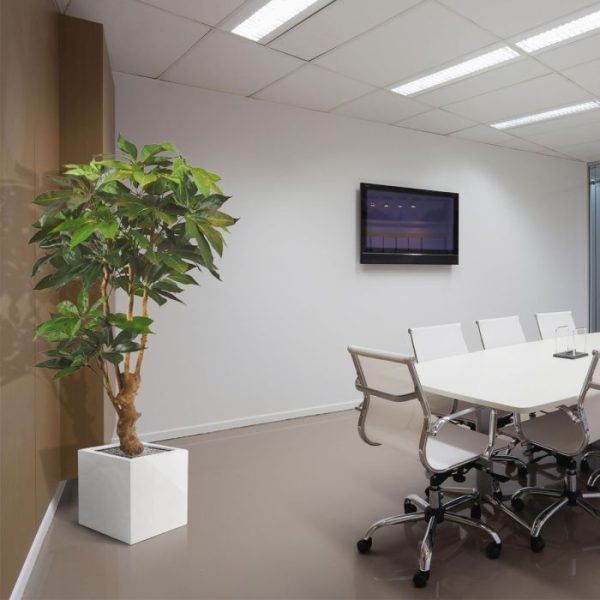 Scheflera-Amate-deluxe-kunstboom-165-cm-5 Scheflera Amate deluxe kunstboom 165 cm 5