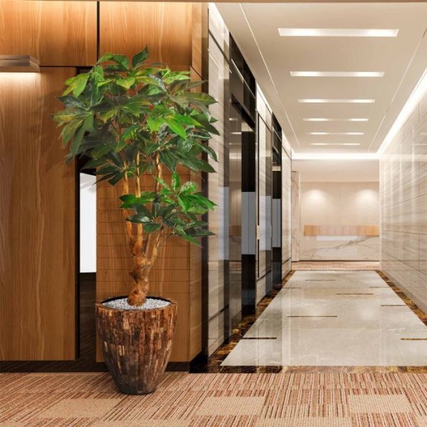 Scheflera-Amate-deluxe-kunstboom-165-cm-9 Scheflera Amate deluxe kunstboom 165 cm 9