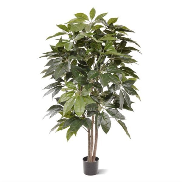 Scheflera-Amate-kunstboom-150-cm-10 Scheflera Amate kunstboom 150 cm 10