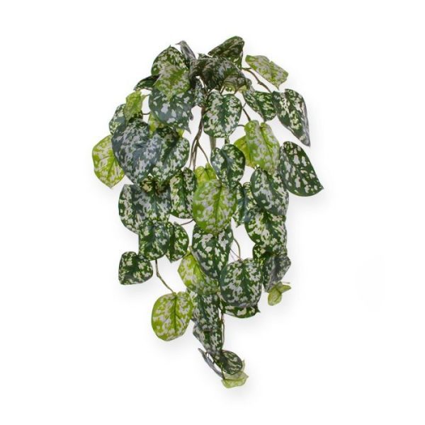 Kunsthangplanten ergens bovenop of hoog in een vaas te zetten voor een afhangend effect of ga voor een variatie in uw groene muur. Deze kunst Scindapsus Pictus bestaat uit tientallen strengen die zich op hun beurt ook weer vertakken. Door de variatie in bladgrootte