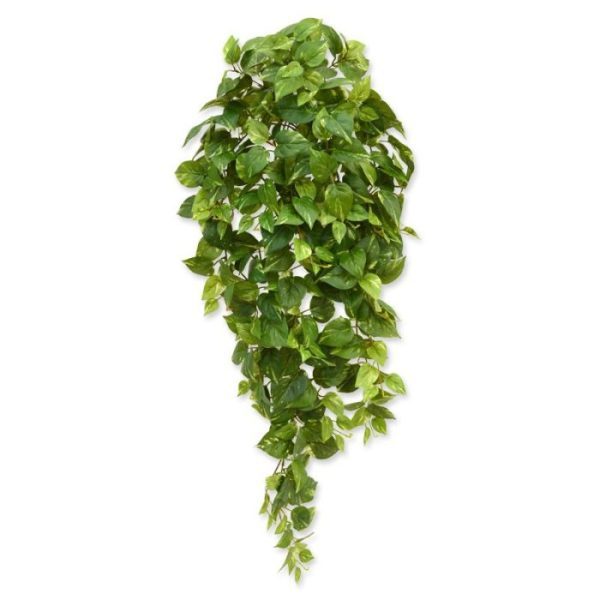 Scindapsus hangplant 100 cm bont 10