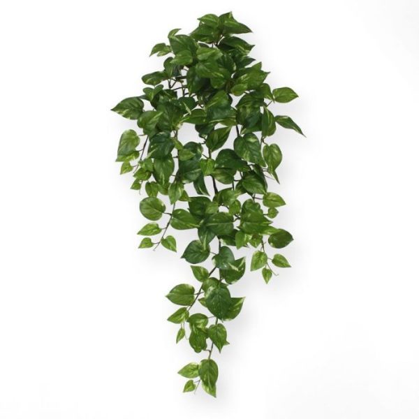 Scindapsus hangplant 75 cm groen 2